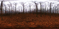 Nature HDR 01