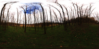 Nature HDR 05