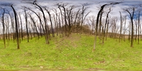 Nature HDR 10