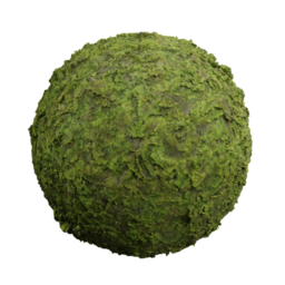 Tropical Moss 1