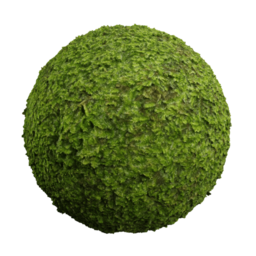 Tropical Moss 2