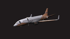 Commercial Airplane Crash Site