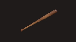 Baseball Bat