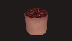 Bloody Stumps Arm