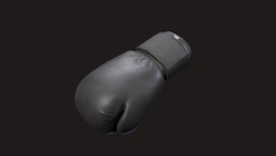 Boxing Gloves