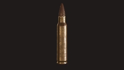 Bullet 5 56 NATO
