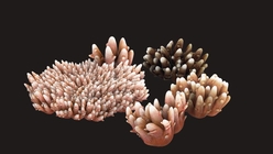Coral Collection Red