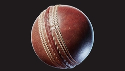 Cricket Ball