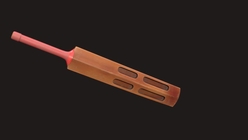 Cricket Bat