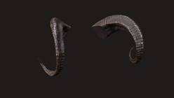 Demon Horns