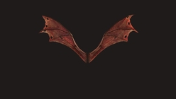 Demon Wings