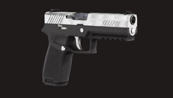 Gun P320 SIG