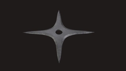 Ninja Star2