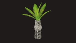 Palm Tree Low Poly 2