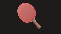 Pingpong Paddle