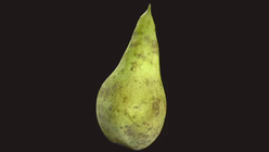 Pear
