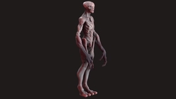 Alien Creature Rig (FBX + OBJ)