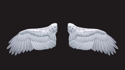 Angel Wings