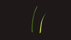 Basic Grass