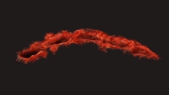 Bite Mark 1