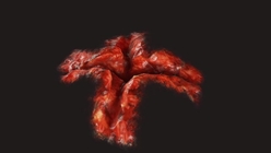 Bullet Wound 2