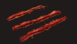 Claw Marks 1
