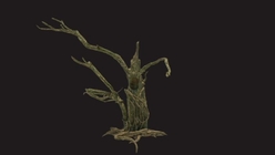 Dead Creepy Tree 1