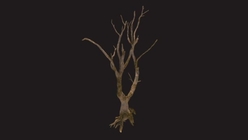 Dead Creepy Tree 2