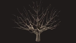 Dead Tree 1