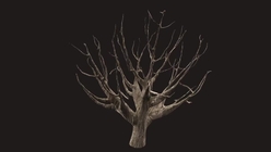 Dead Tree 3