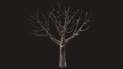 Dead Tree 4
