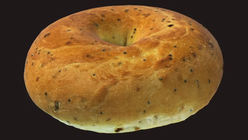 Everything Bagel