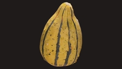 Gourd 1
