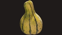 Gourd 2