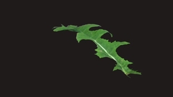 Weed Leaf 2