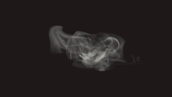 Ground Mist Wisps - 2