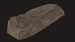 Firewood Log 2