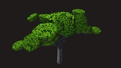 Oak Tree Low Poly 1
