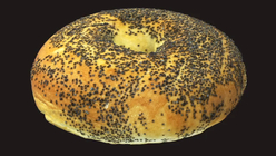 Poppyseed Bagel