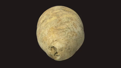 Potato 2