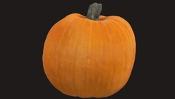 Pumpkin 2