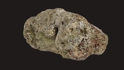 Sea Rock 1