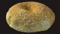 Sesame Seed Bagel