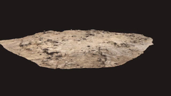 Small Rocky Landscape Feature