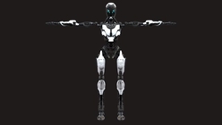 Worker Robot