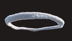 Tornado Component F